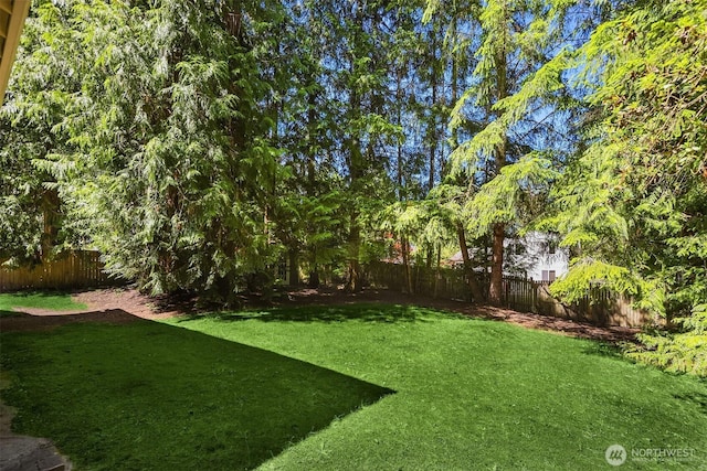 23018 NE 25th Way, Sammamish, WA 98074 - view of yard
