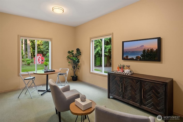 23401 82nd Ave SE, Woodinville, WA 98072 - photo 18