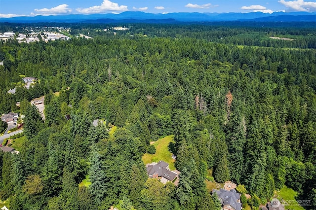 23401 82nd Ave SE, Woodinville, WA 98072 - photo 39