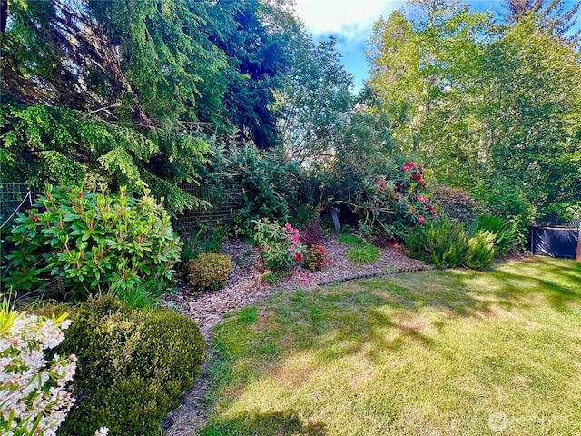 1911 324th, Long Beach, WA 98631 - view of green lawn