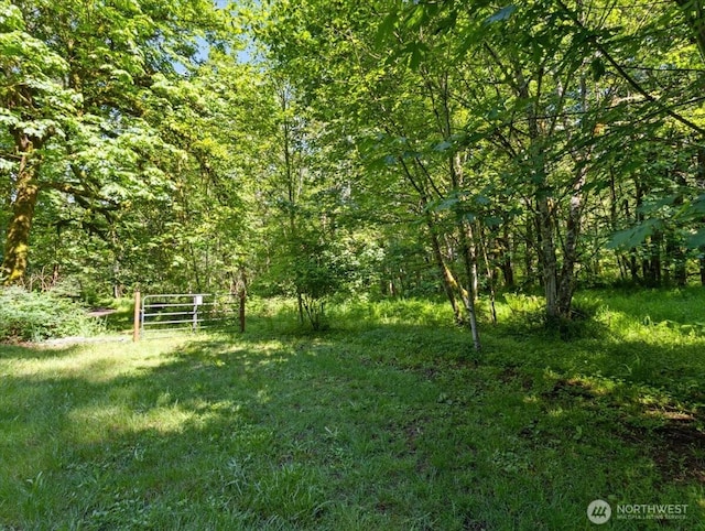0 NE 324th Cir, Battle Ground, WA 98604