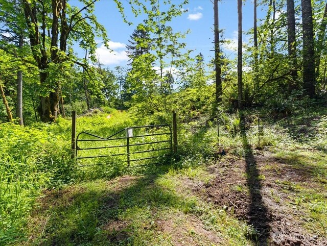 0 NE 324th Cir, Battle Ground, WA 98604