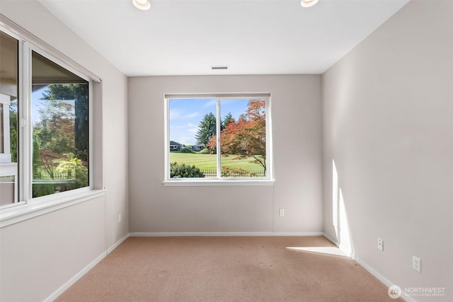 8315 Vashon Dr NE, Lacey, WA 98516 - carpeted spare room with baseboards