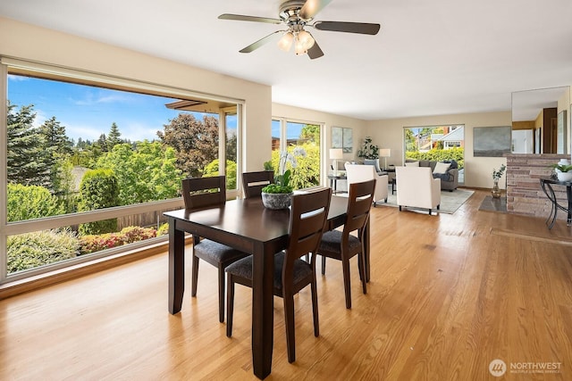 6085 Ann Arbor Ave NE, Seattle, WA 98115 - dining area with light wood-type flooring and ceiling fan