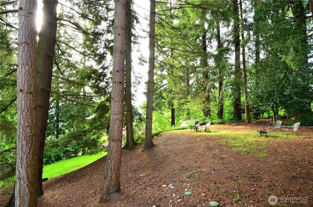 18215 108th Ave NE, Bothell, WA 98011 - view of nature