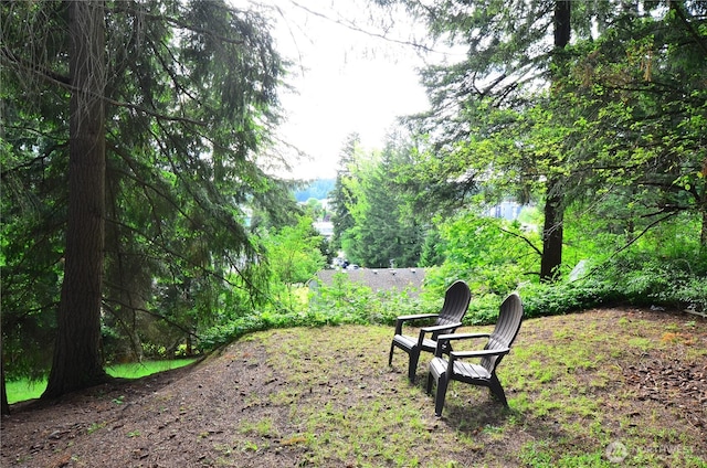 18215 108th Ave NE, Bothell, WA 98011 - view of yard featuring a water view