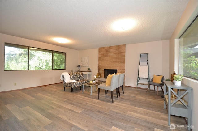 18215 108th Ave NE, Bothell, WA 98011 - sitting room with light wood-style floors, healthy amount of natural light, a textured ceiling, a fireplace, and baseboards