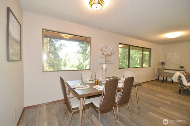 18215 108th Ave NE, Bothell, WA 98011 - dining room featuring a textured ceiling, light wood-style flooring, and baseboards