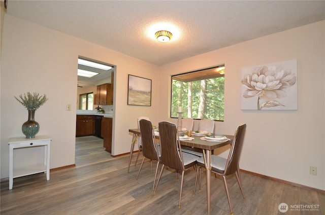 18215 108th Ave NE, Bothell, WA 98011 - dining room with wood finished floors, healthy amount of natural light, baseboards, and a textured ceiling