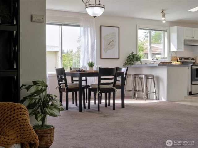 7127 Ortelius Dr, Ilwaco, WA 98624 - dining space featuring light carpet and plenty of natural light