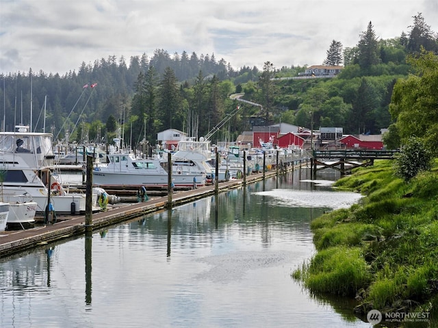 7127 Ortelius Dr, Ilwaco, WA 98624 - dock with a water view and a view of trees