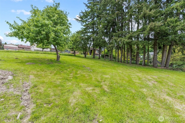 2914 Columbia Heights Rd, Longview, WA 98632 - view of green lawn
