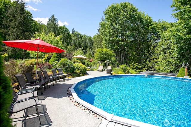 1933 Valleybrook Ln, Bellingham, WA 98229 - swimming pool featuring a patio area and a forest view
