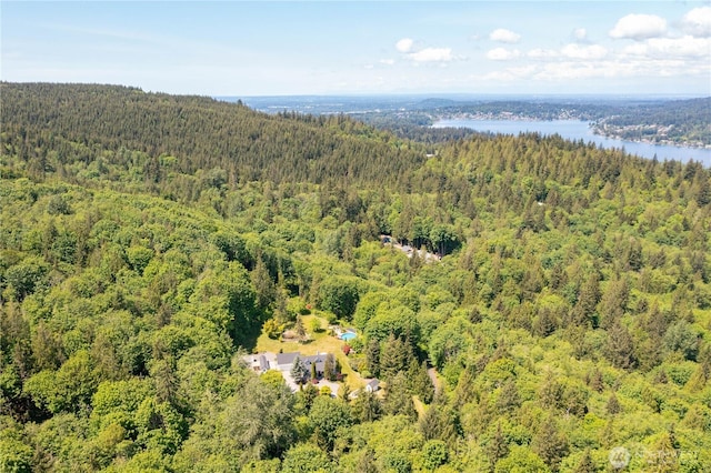 1933 Valleybrook Ln, Bellingham, WA 98229 - bird's eye view of a heavily wooded area and a nearby body of water