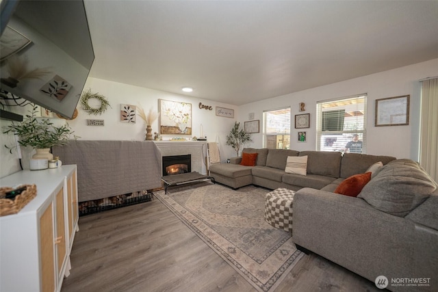 3217 289th St S, Roy, WA 98580 - living area featuring wood finished floors, a warm lit fireplace, and recessed lighting