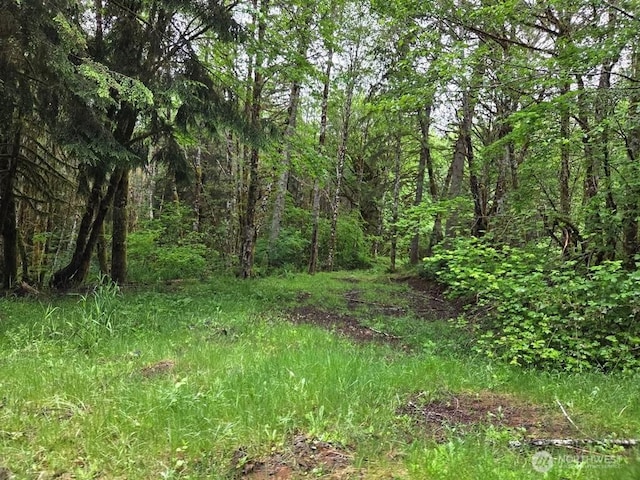 674 Mill Creek Rd, Longview, WA 98632