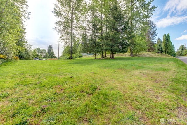4718 252nd St NE, Arlington, WA 98223 - view of green lawn