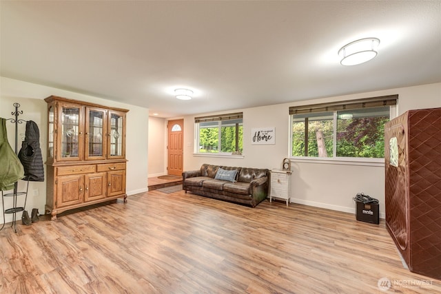 4718 252nd St NE, Arlington, WA 98223 - living area featuring baseboards and light wood-type flooring