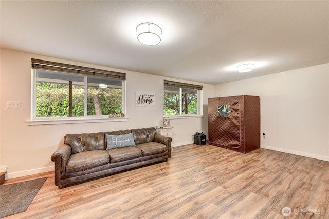 4718 252nd St NE, Arlington, WA 98223 - living area with wood finished floors and baseboards
