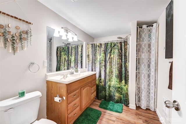 4718 252nd St NE, Arlington, WA 98223 - bathroom featuring toilet, vanity, wood finished floors, and plenty of natural light