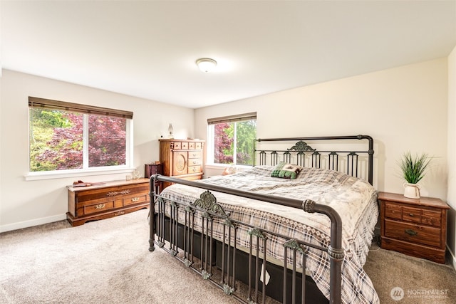 4718 252nd St NE, Arlington, WA 98223 - bedroom with light colored carpet and baseboards