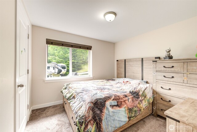 4718 252nd St NE, Arlington, WA 98223 - bedroom with light carpet and baseboards