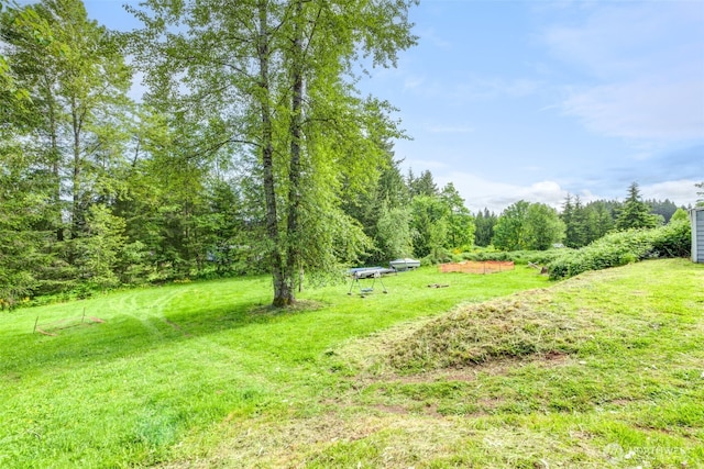 4718 252nd St NE, Arlington, WA 98223 - view of grassy yard
