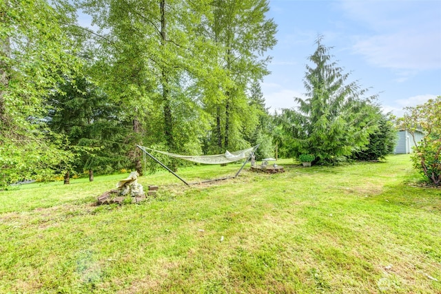 4718 252nd St NE, Arlington, WA 98223 - view of green lawn