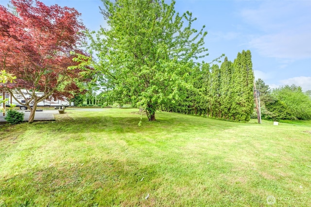 4718 252nd St NE, Arlington, WA 98223 - view of grassy yard