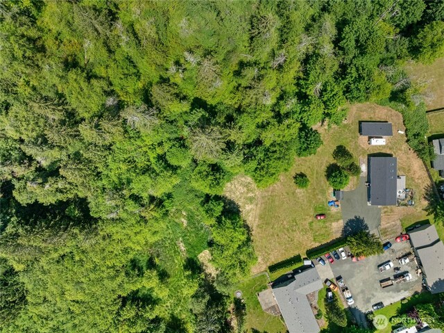 7211 Lakeside St SW, Olympia, WA 98512 - photo 35
