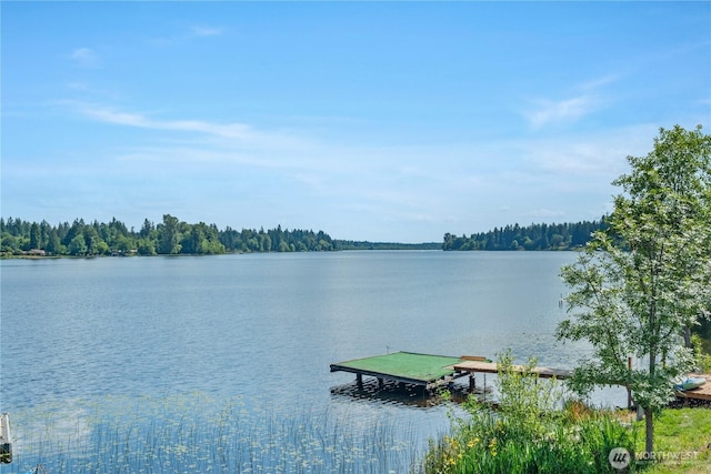 7211 Lakeside St SW, Olympia, WA 98512 - photo 38
