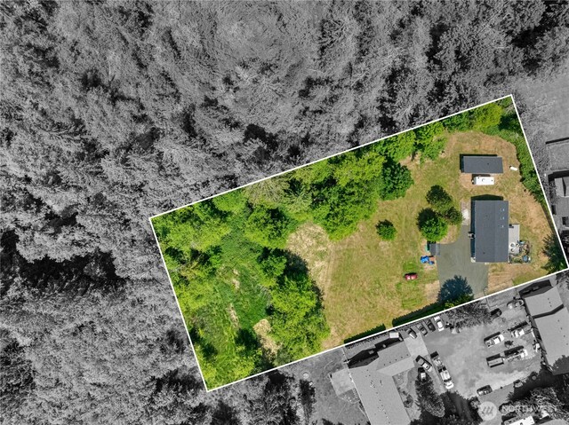 7211 Lakeside St SW, Olympia, WA 98512 - photo 39