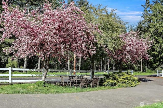 119 Oyler Way, Ethel, WA 98542 - view of property's community featuring view of wooded area