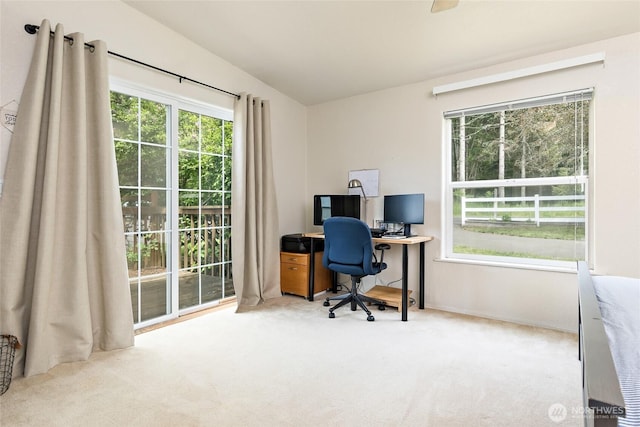 119 Oyler Way, Ethel, WA 98542 - carpeted office with vaulted ceiling