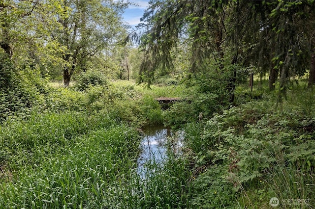 119 Oyler Way, Ethel, WA 98542 - water view with a heavily wooded area