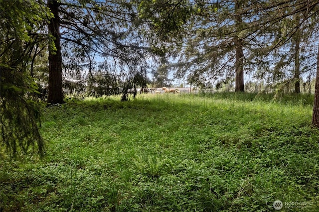 119 Oyler Way, Ethel, WA 98542 - view of undeveloped land