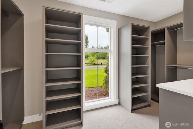 5712 Denali Ln, Bellingham, WA 98226 - spacious closet featuring carpet flooring