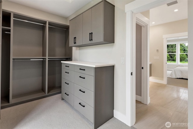 5712 Denali Ln, Bellingham, WA 98226 - view of spacious closet