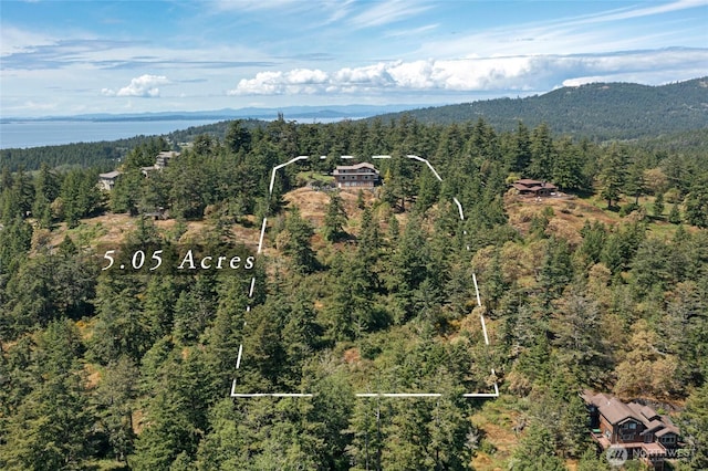148 Yarrow Rd, Friday Harbor, WA 98250 - aerial view of property's location with a heavily wooded area, property boundaries highlighted, and a mountainous background
