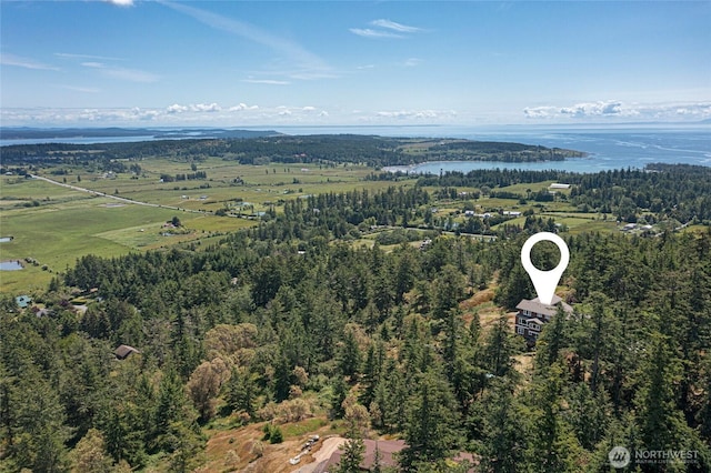 148 Yarrow Rd, Friday Harbor, WA 98250 - aerial view of a forest and a large body of water