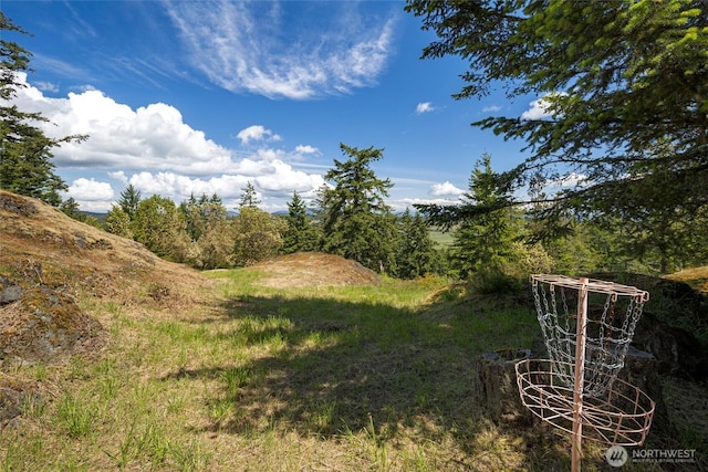 148 Yarrow Rd, Friday Harbor, WA 98250 - view of yard
