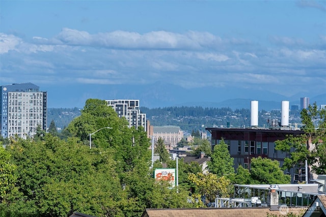 4519A Bagley Ave N, Seattle, WA 98103 - city view