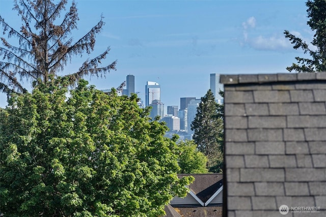 4519A Bagley Ave N, Seattle, WA 98103 - exterior view of city skyline