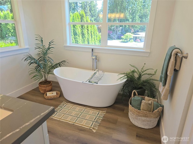 2015 172nd Pl SE, Bothell, WA 98012 - full bath with a freestanding tub, wood finished floors, healthy amount of natural light, and vanity