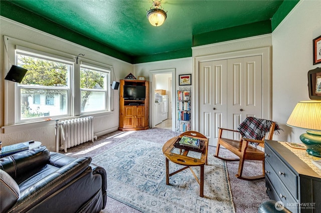 1324 E 2nd St, Port Angeles, WA 98362 - carpeted living room with radiator