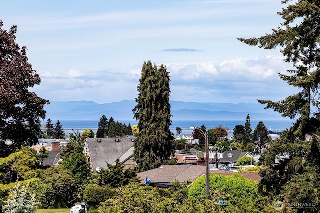 1324 E 2nd St, Port Angeles, WA 98362 - water view with a mountainous background