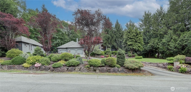 5920 228th Ave NE, Redmond, WA 98053 - view of yard featuring a garage and view of wooded area