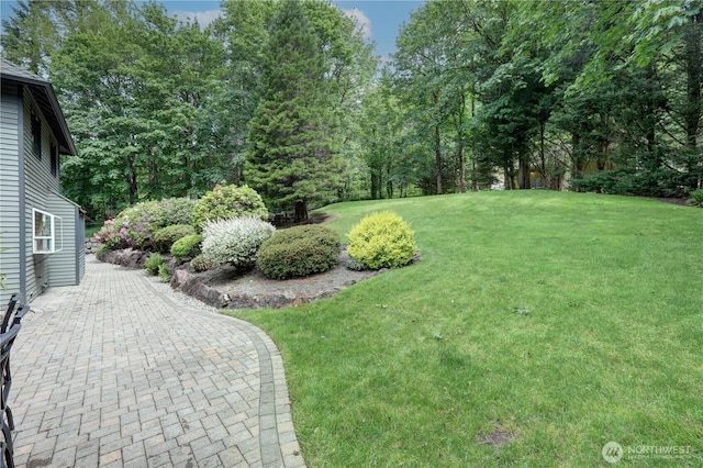 5920 228th Ave NE, Redmond, WA 98053 - view of green lawn featuring a patio