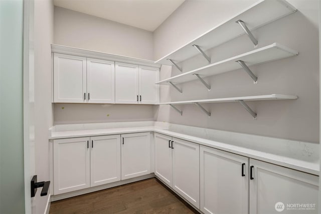 13037 75th Pl S, Seattle, WA 98178 - view of storage area