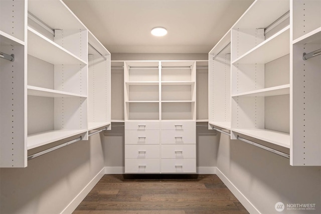 13037 75th Pl S, Seattle, WA 98178 - spacious closet featuring dark wood-style floors